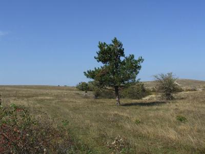 Прикрепленное изображение: DSCF5759.jpg